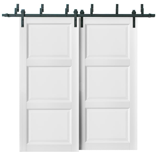 Sartodoors Barn Bypass Interior Door, 72" x 80", White LUCIA2661BBB-BEM-72 - main